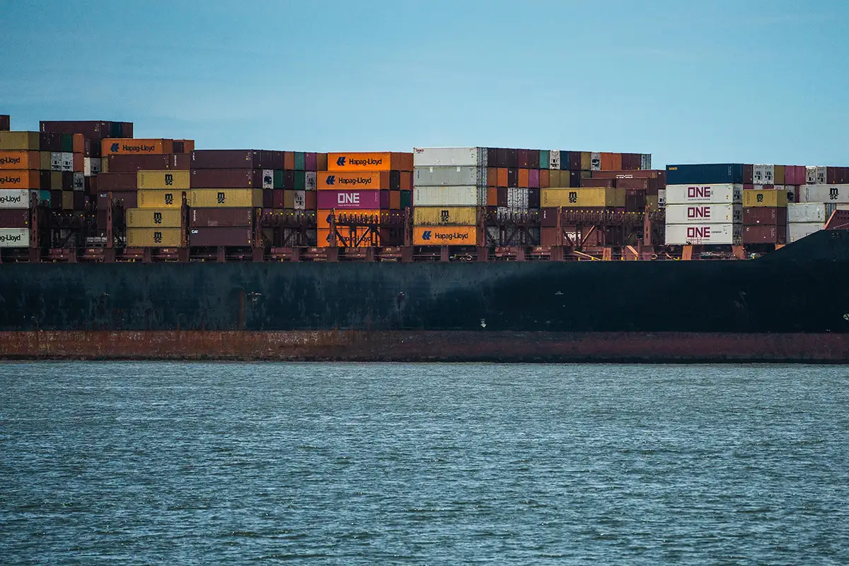 Shipping Lines Representation (Liner & NVOCC)